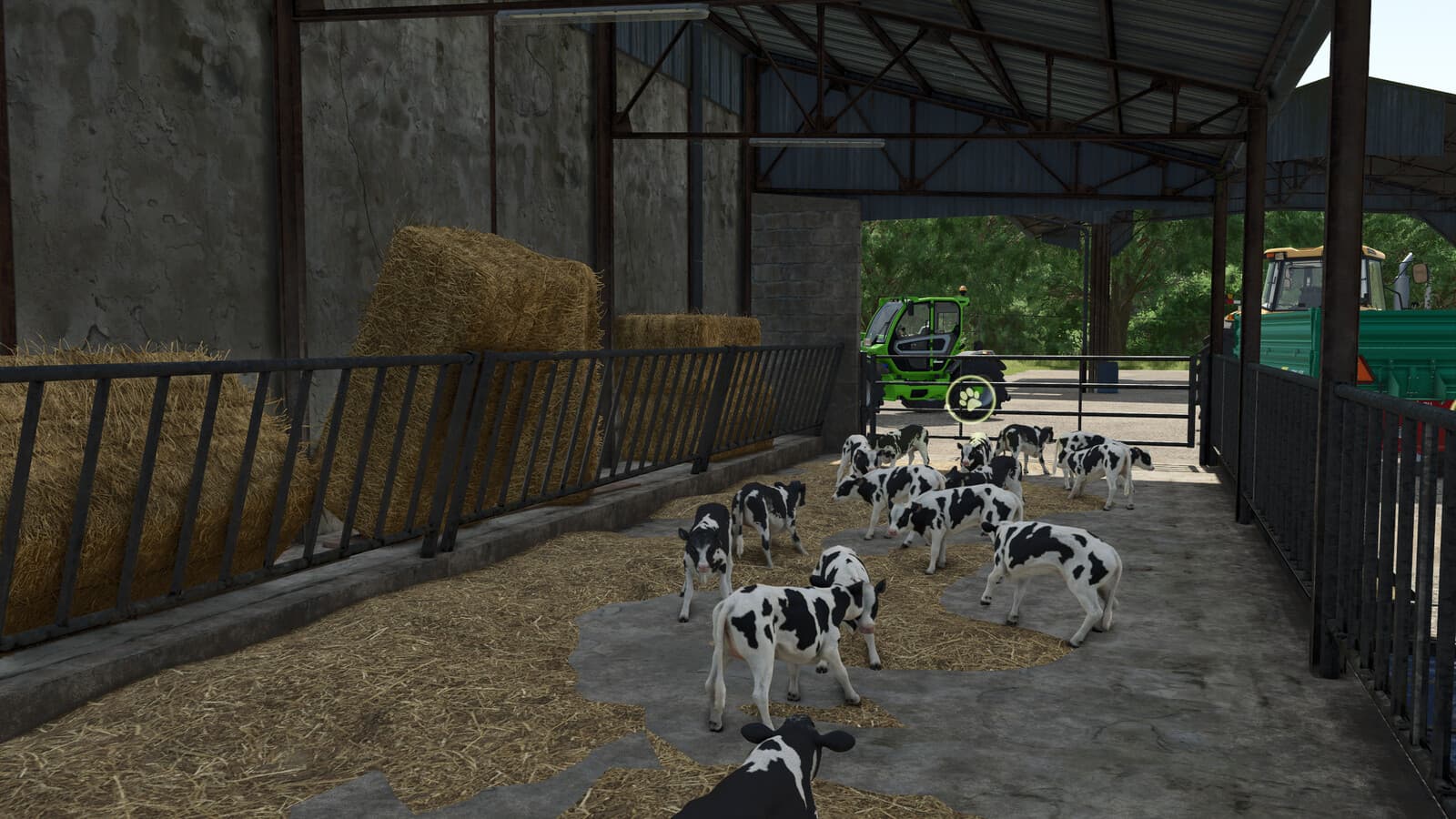 Feret Calf Stall 4
