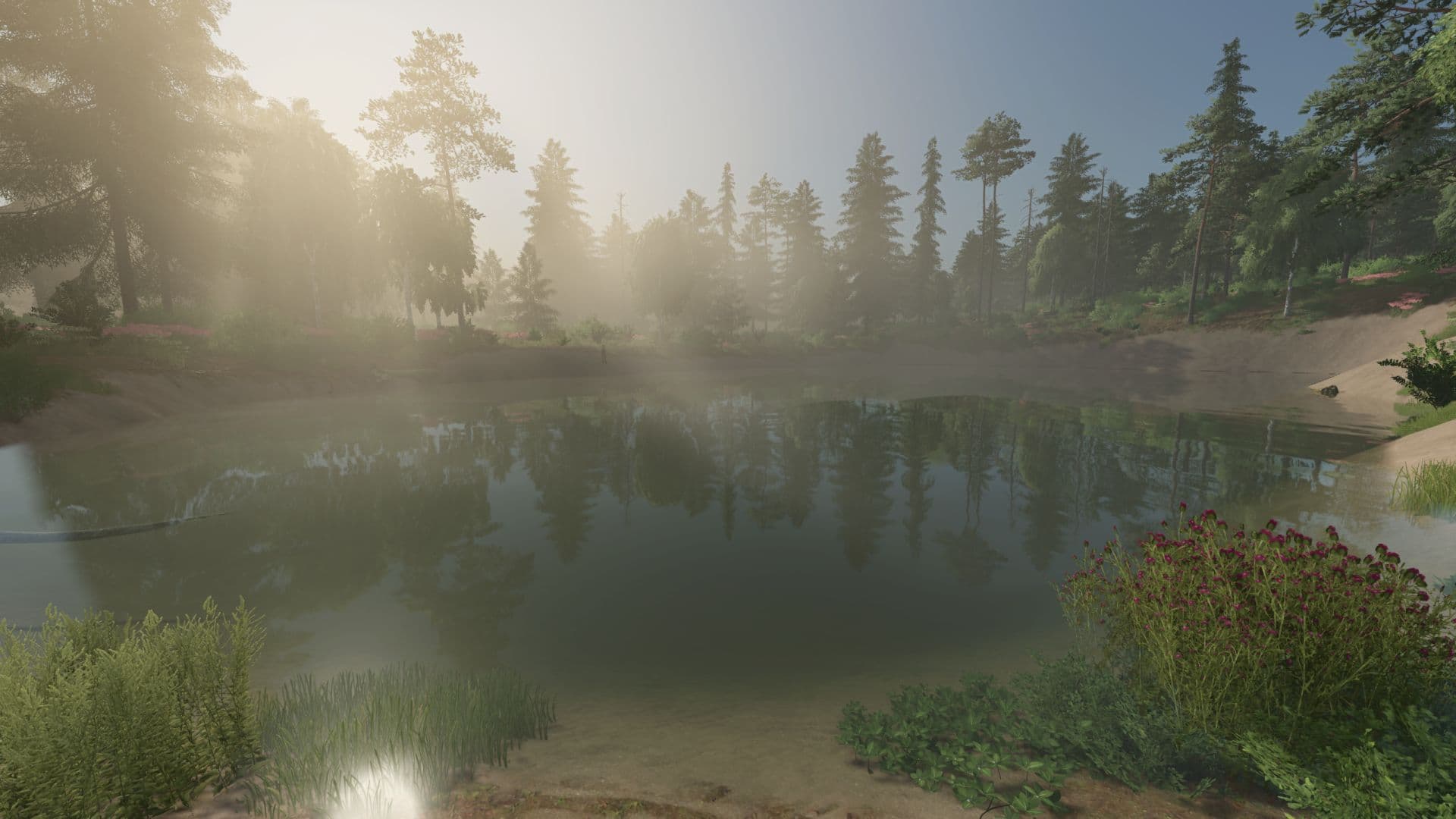 Fog Control