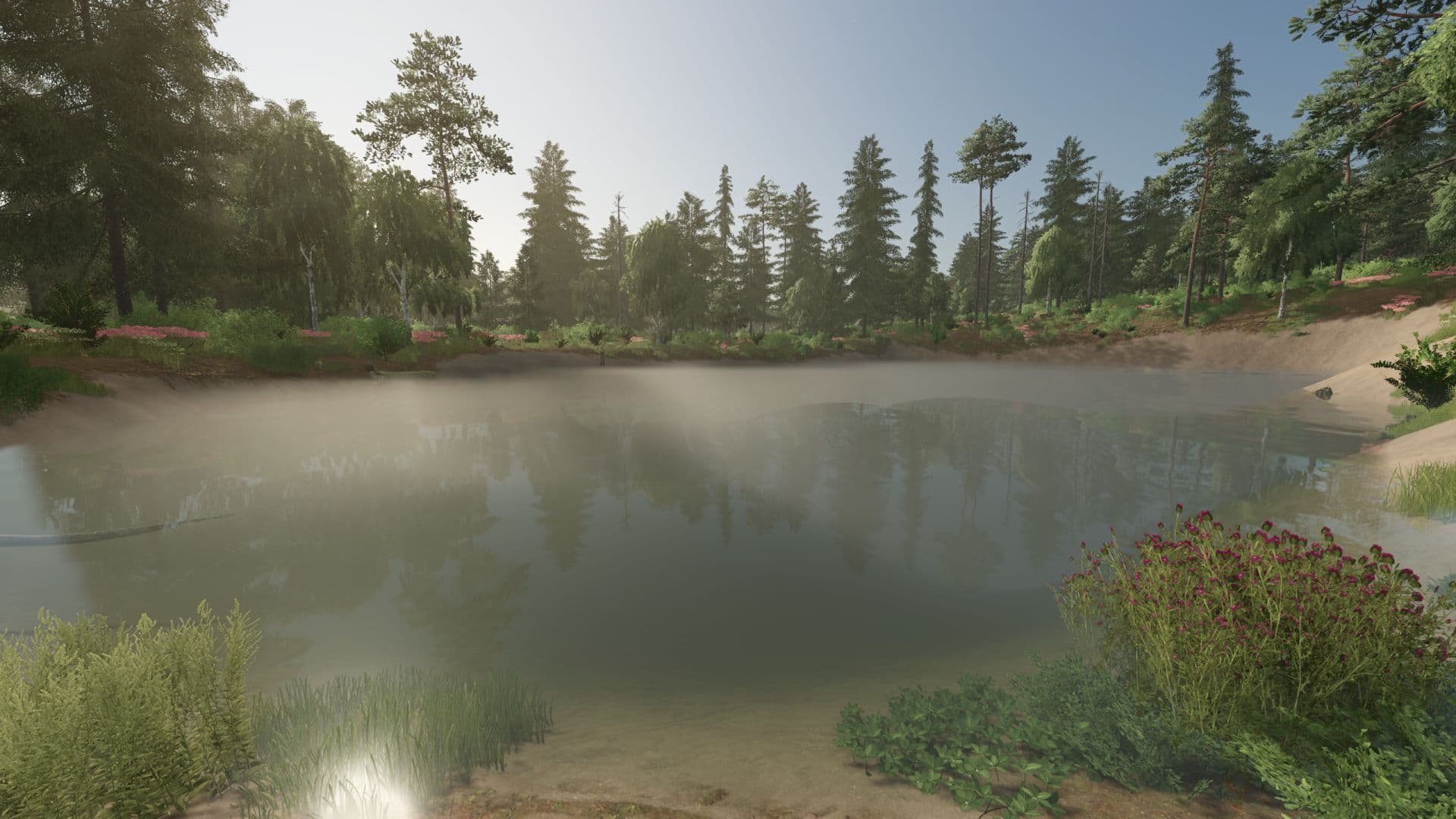 Fog Control 3