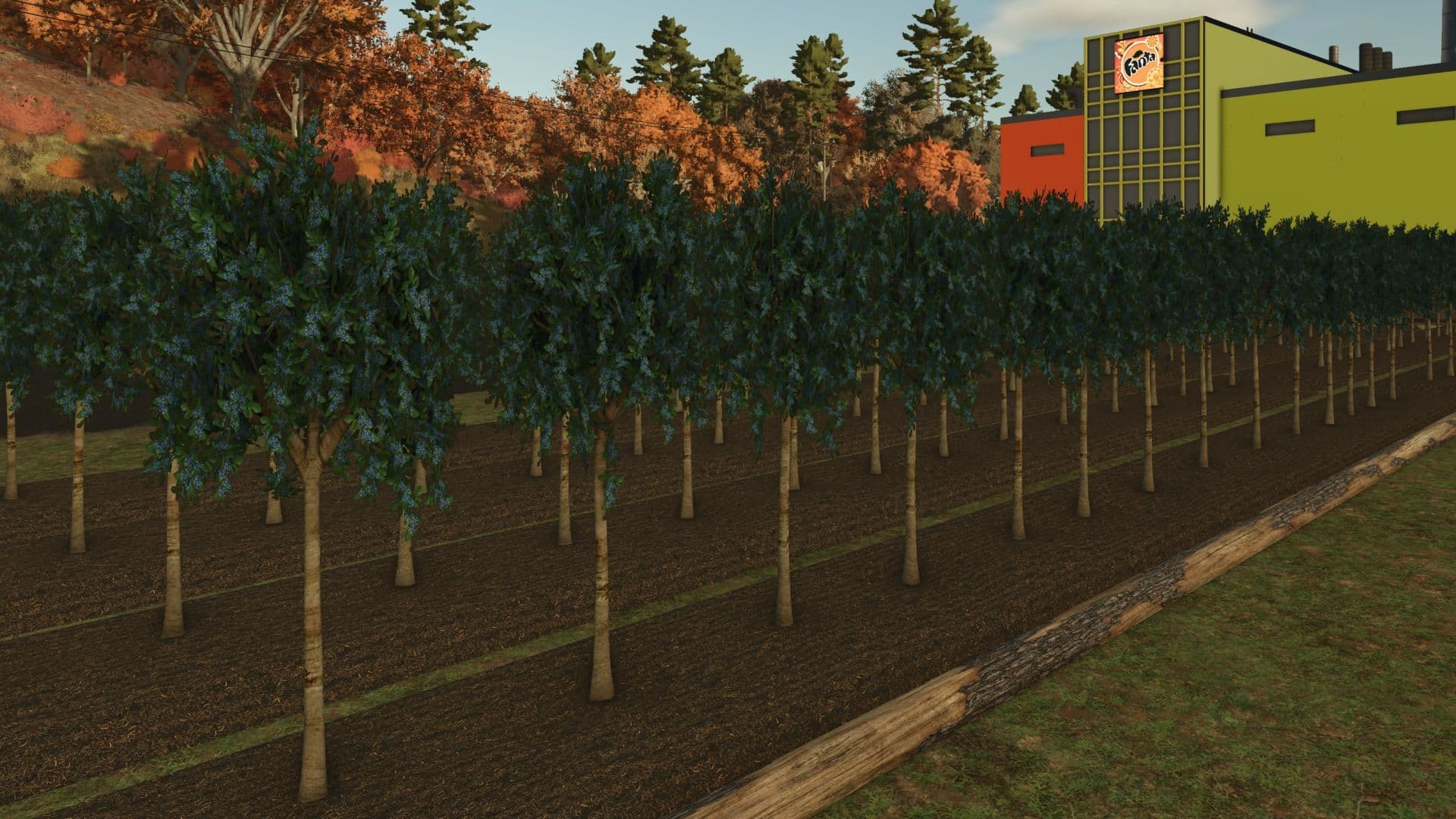 Fruit orchards 5