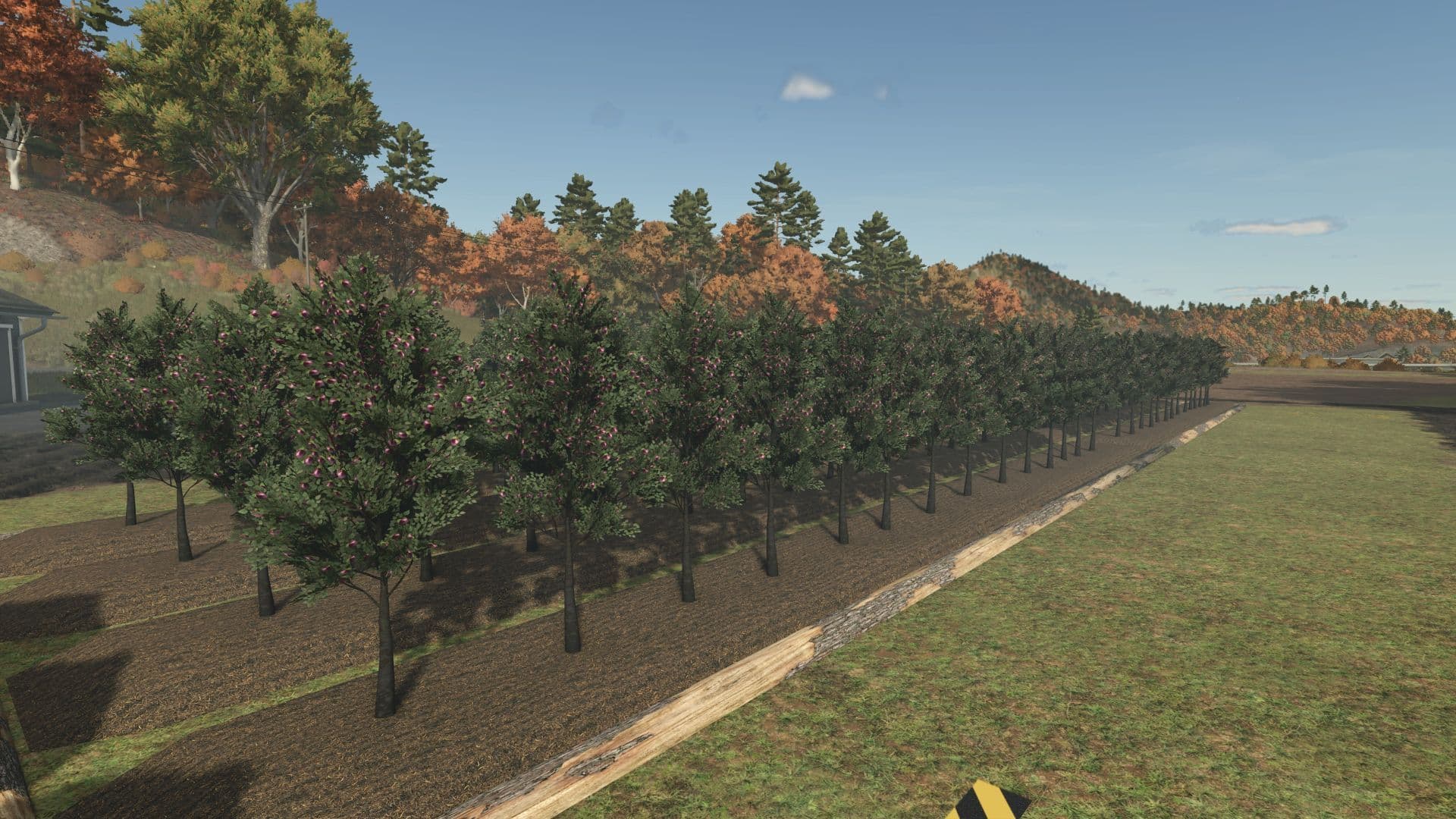 Fruit orchards 4