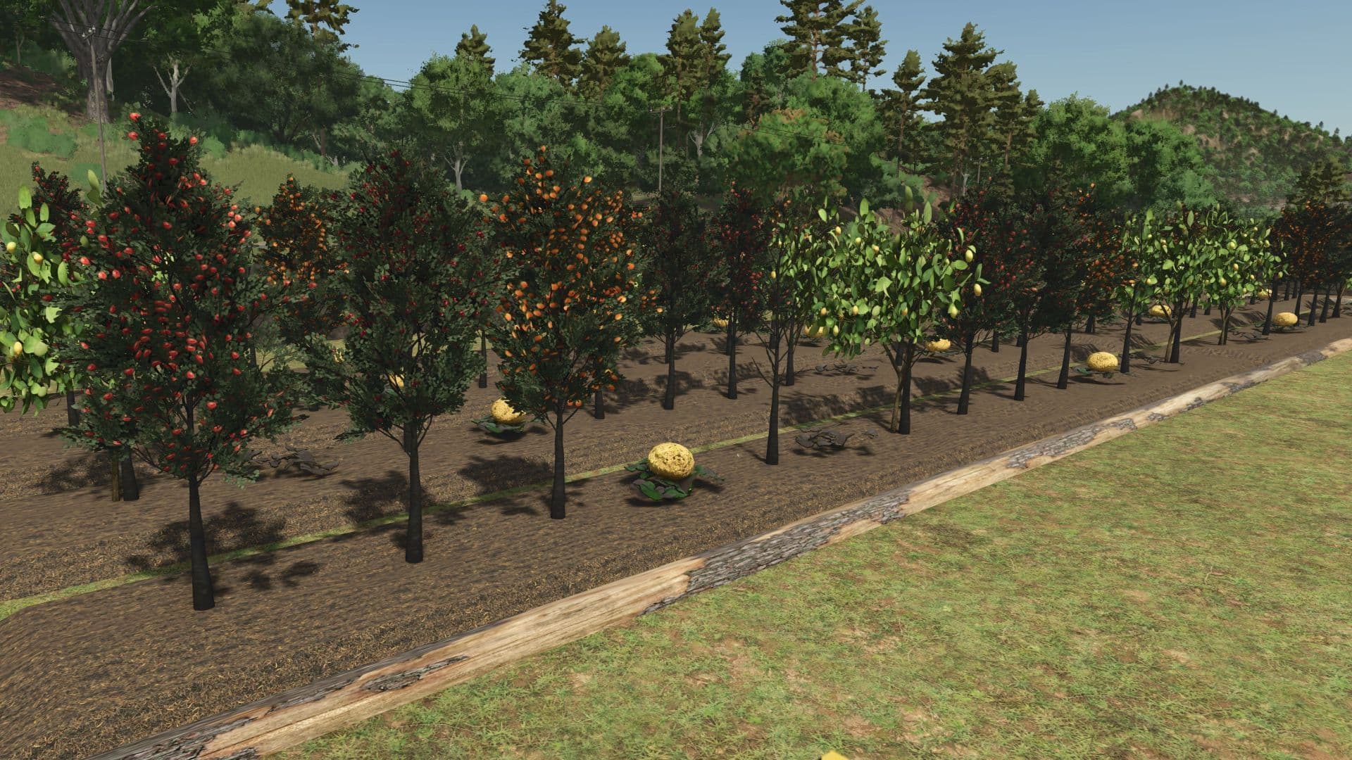 Fruit orchards 3