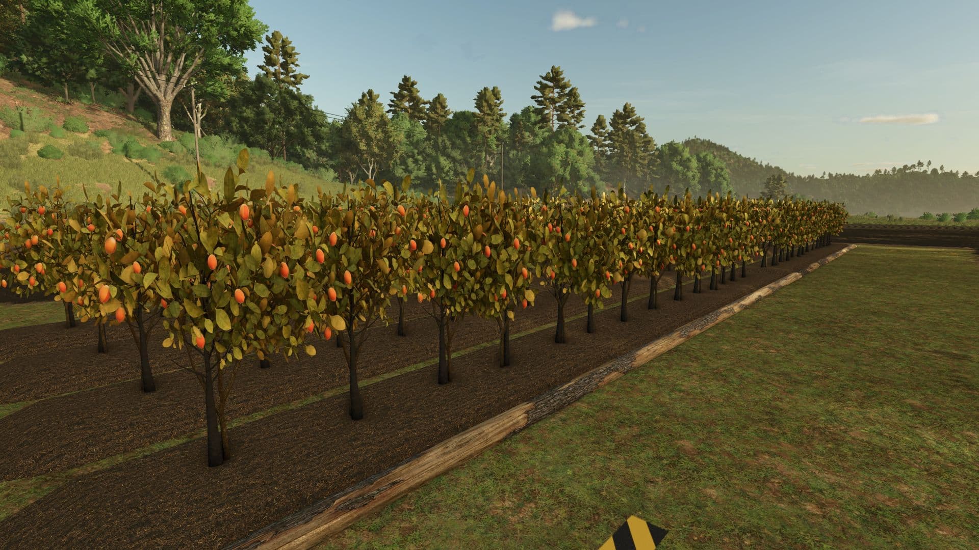Fruit orchards 2
