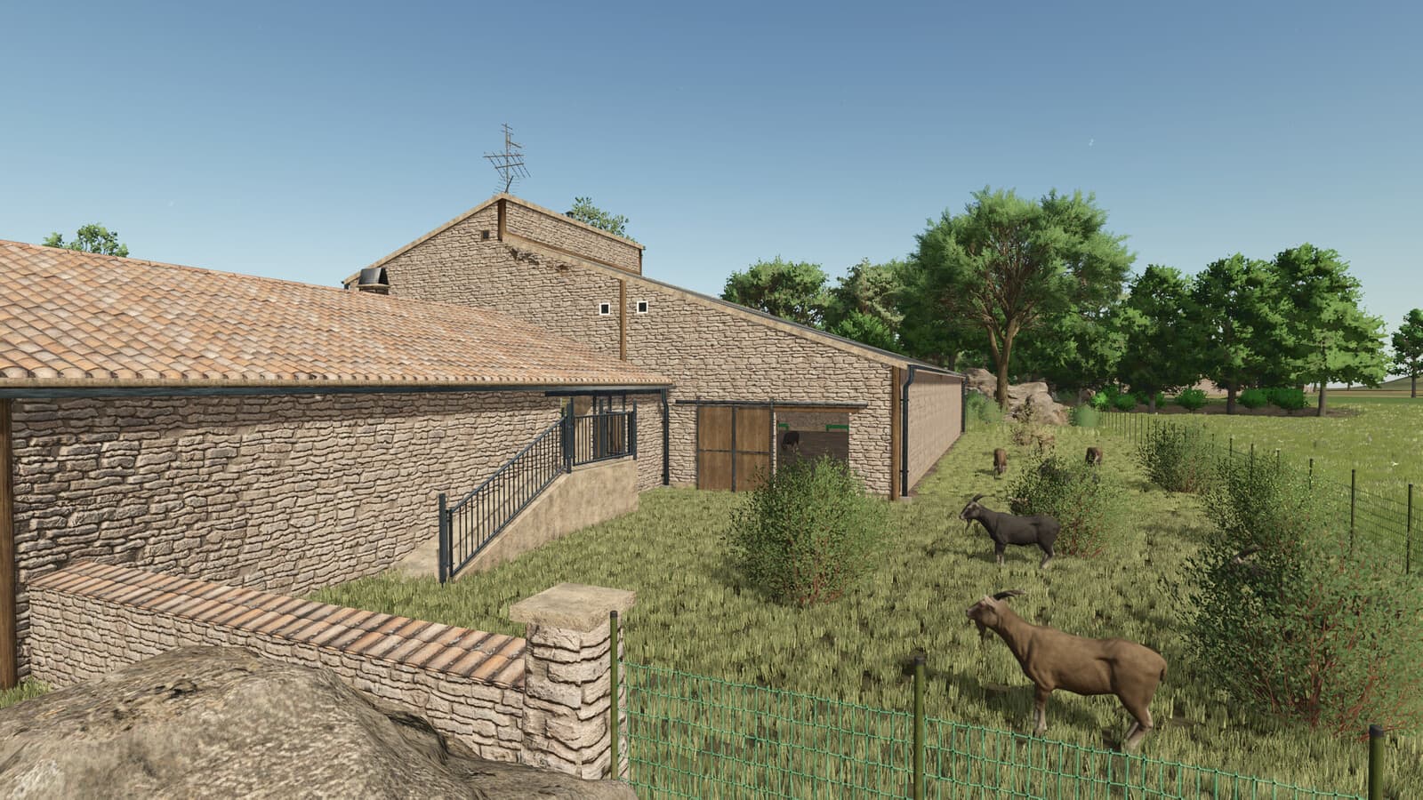 Goat Farm 2