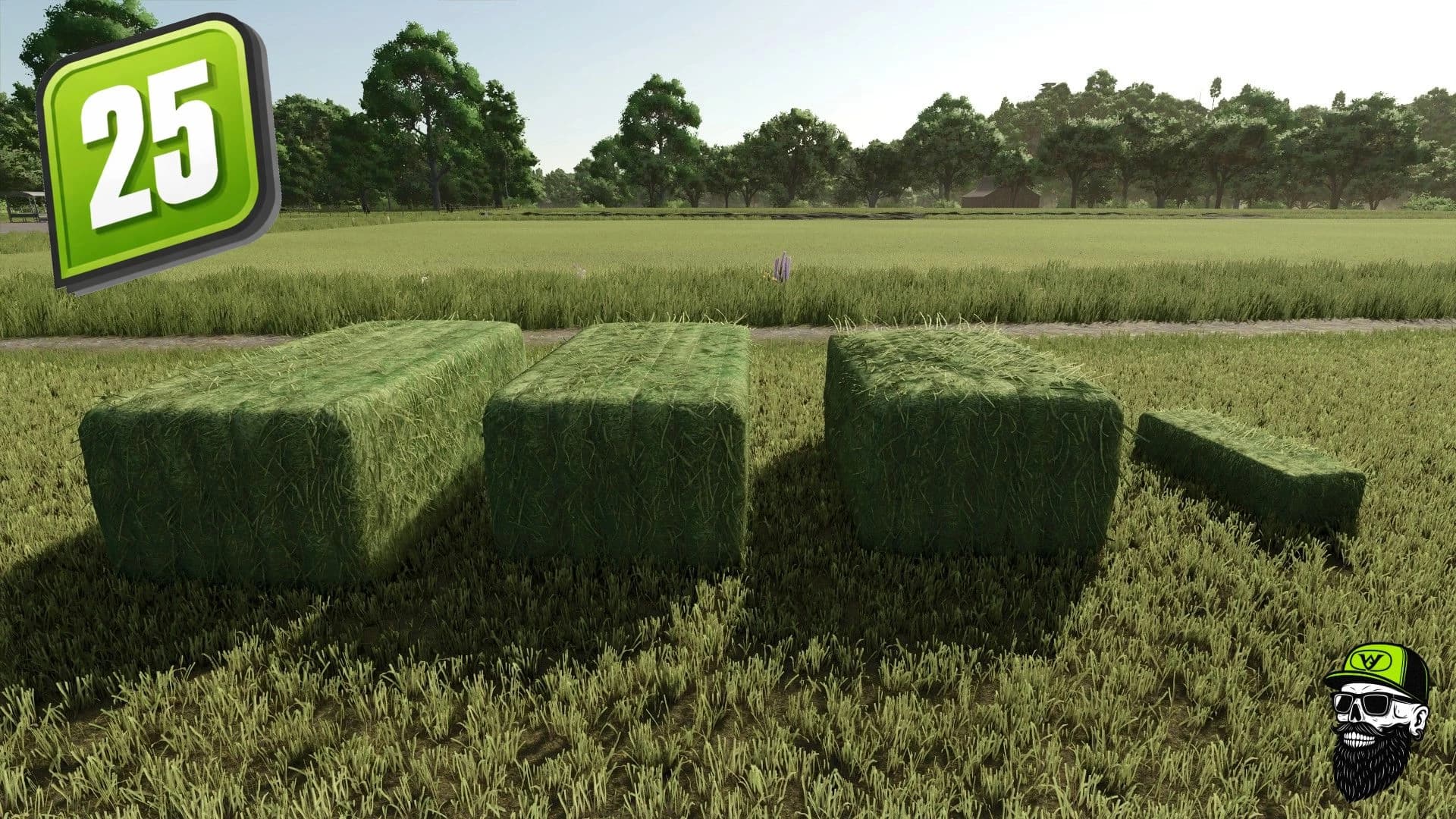 Grass/Hay Bale Textures v1.0 2