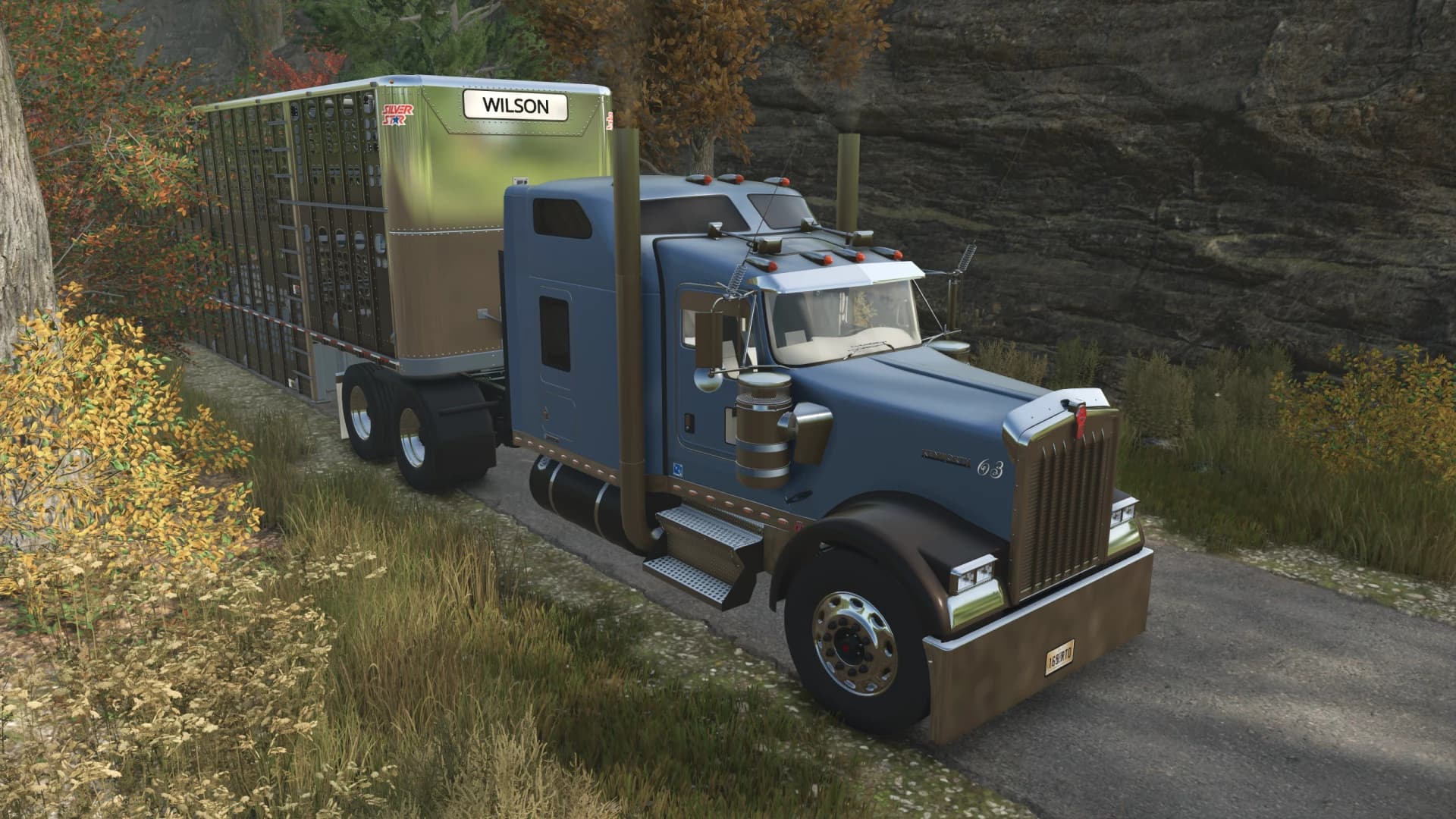 Kenworth W900L 4