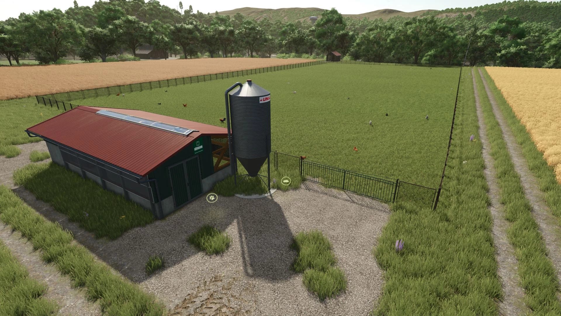 Large Chicken Coop