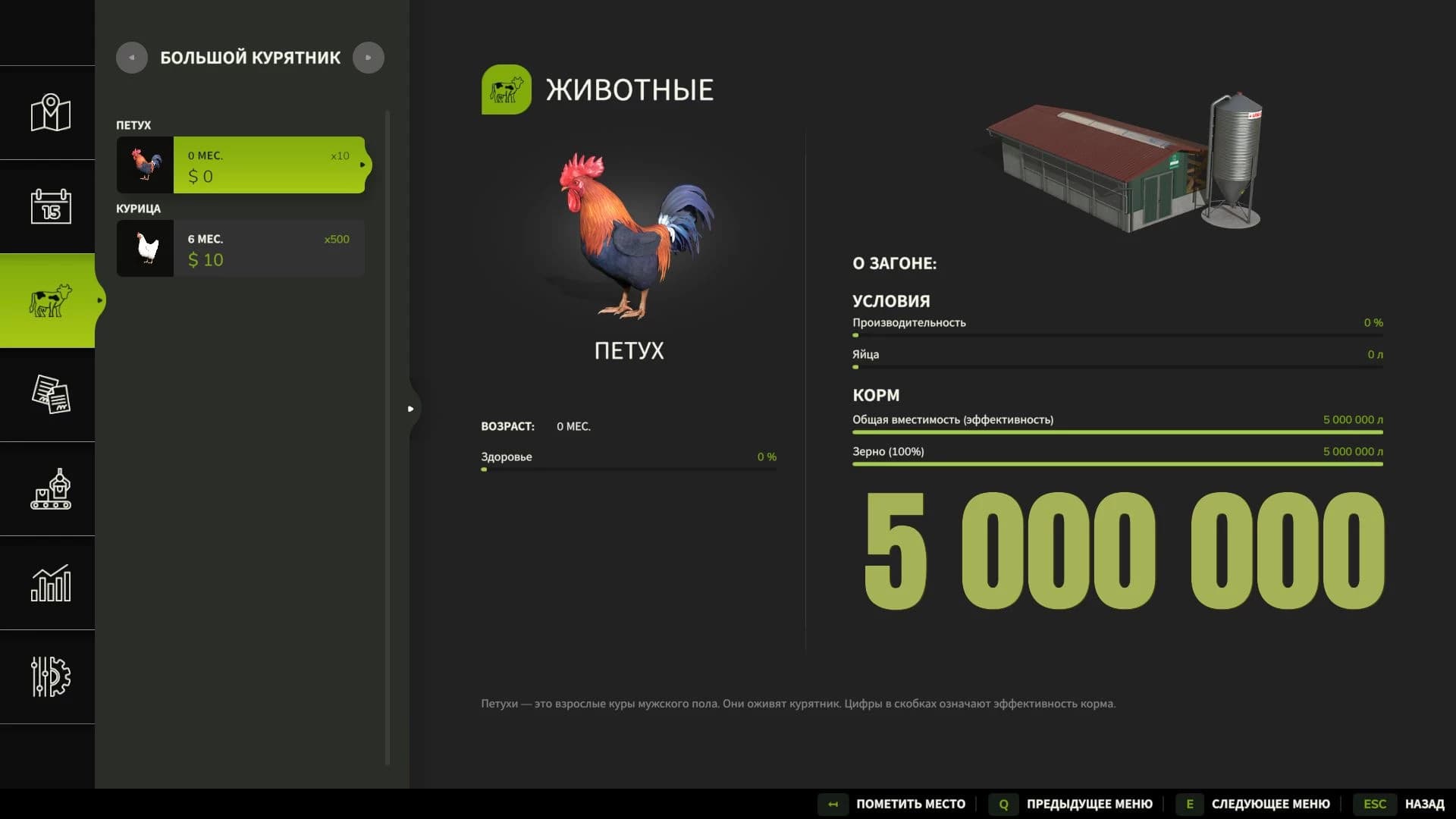 Large Chicken Coop 2