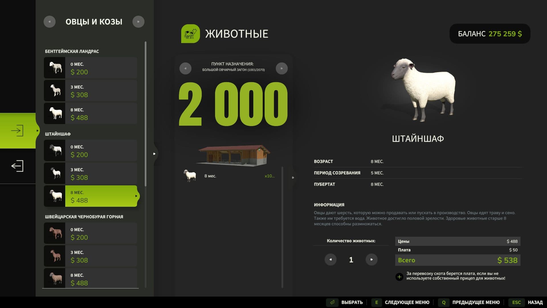 Large sheepfold