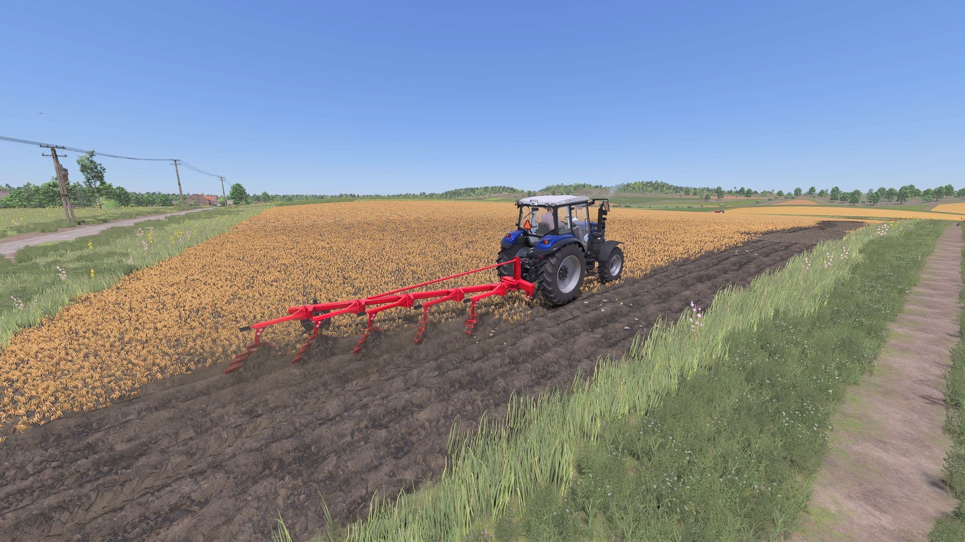 Lizard Famed 5 Spring Plow 6