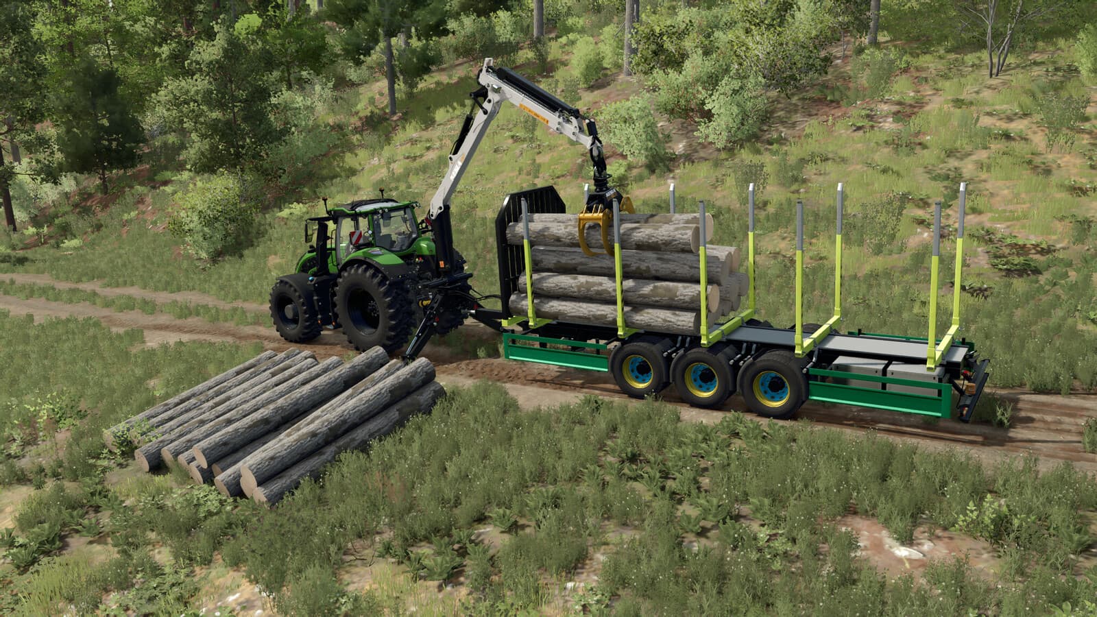 Lizard Short Wood Trailer Pack 5