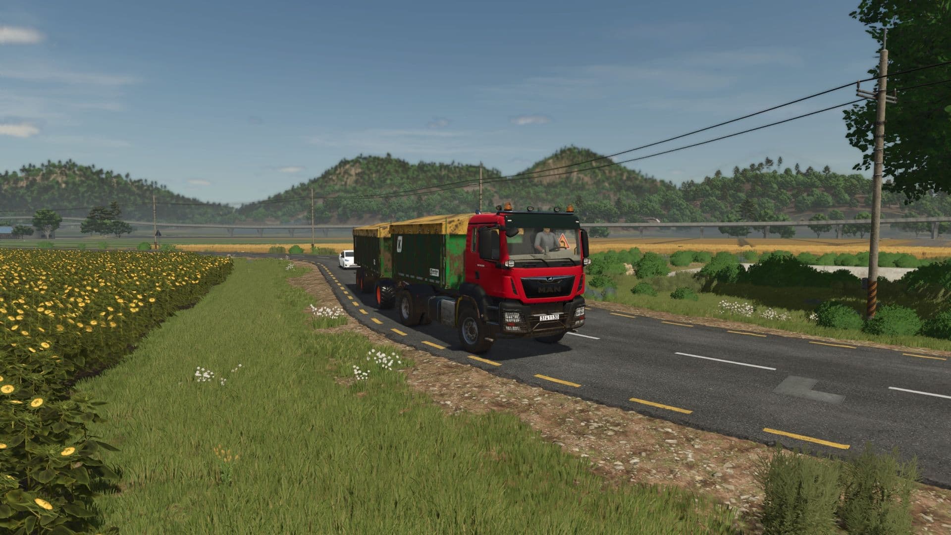 MAN TGS AgroTruck 3