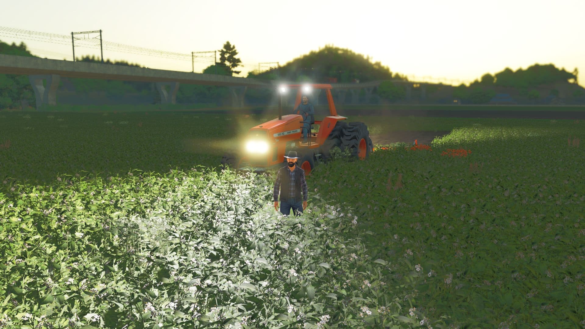 Massey Ferguson 680HD 3