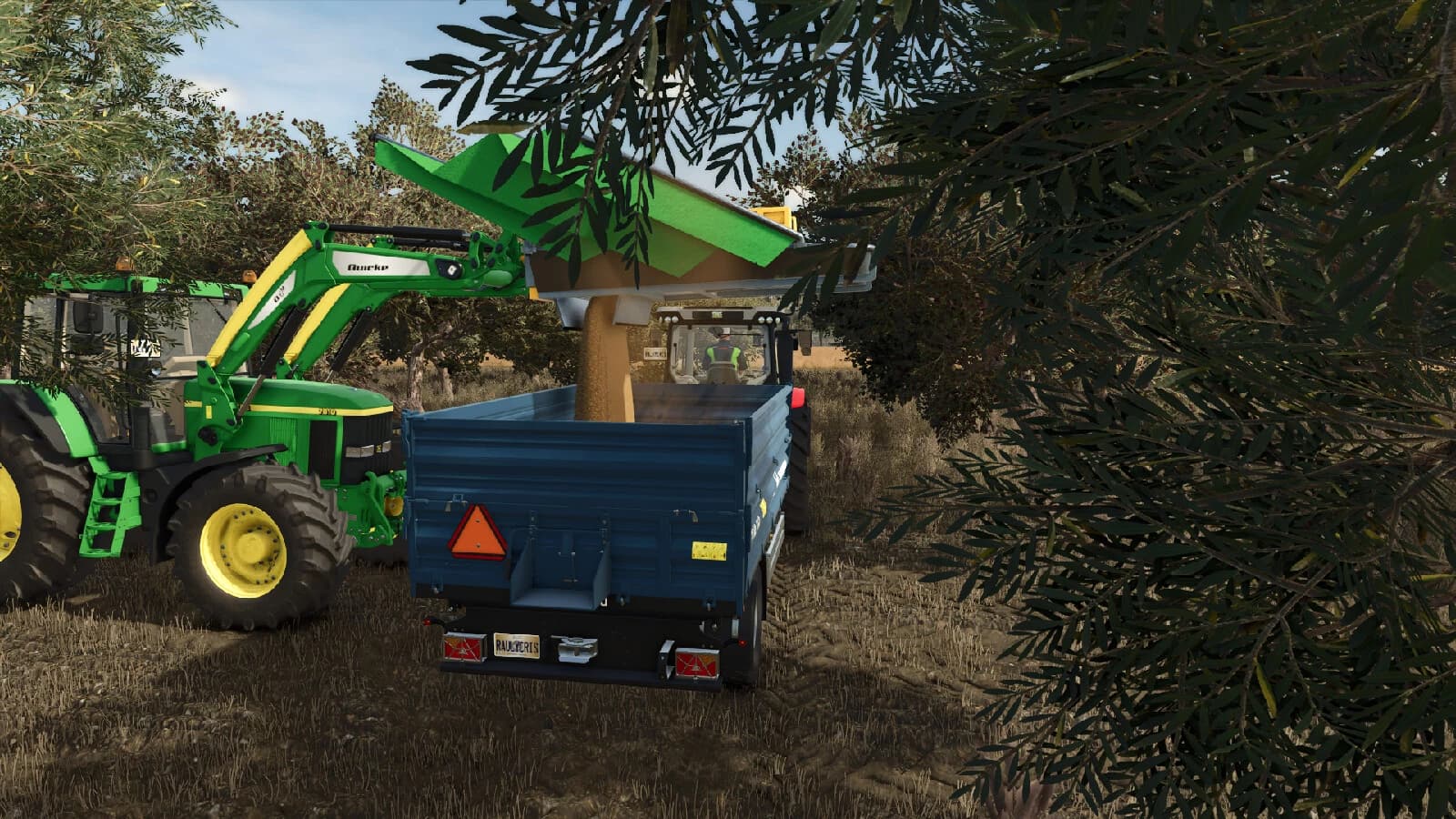 Olives + Olive Picker 4