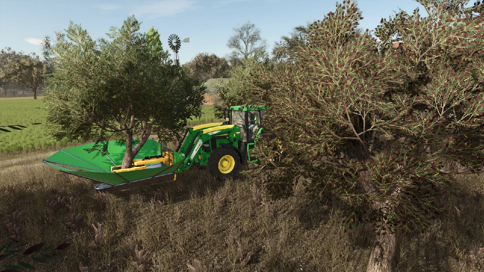 Olives + Olive Picker 2