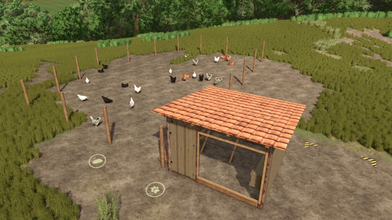 Open Chicken Coop