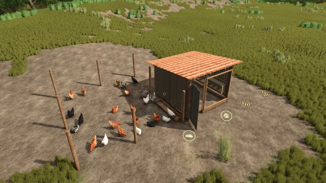 Open Chicken Coop 3