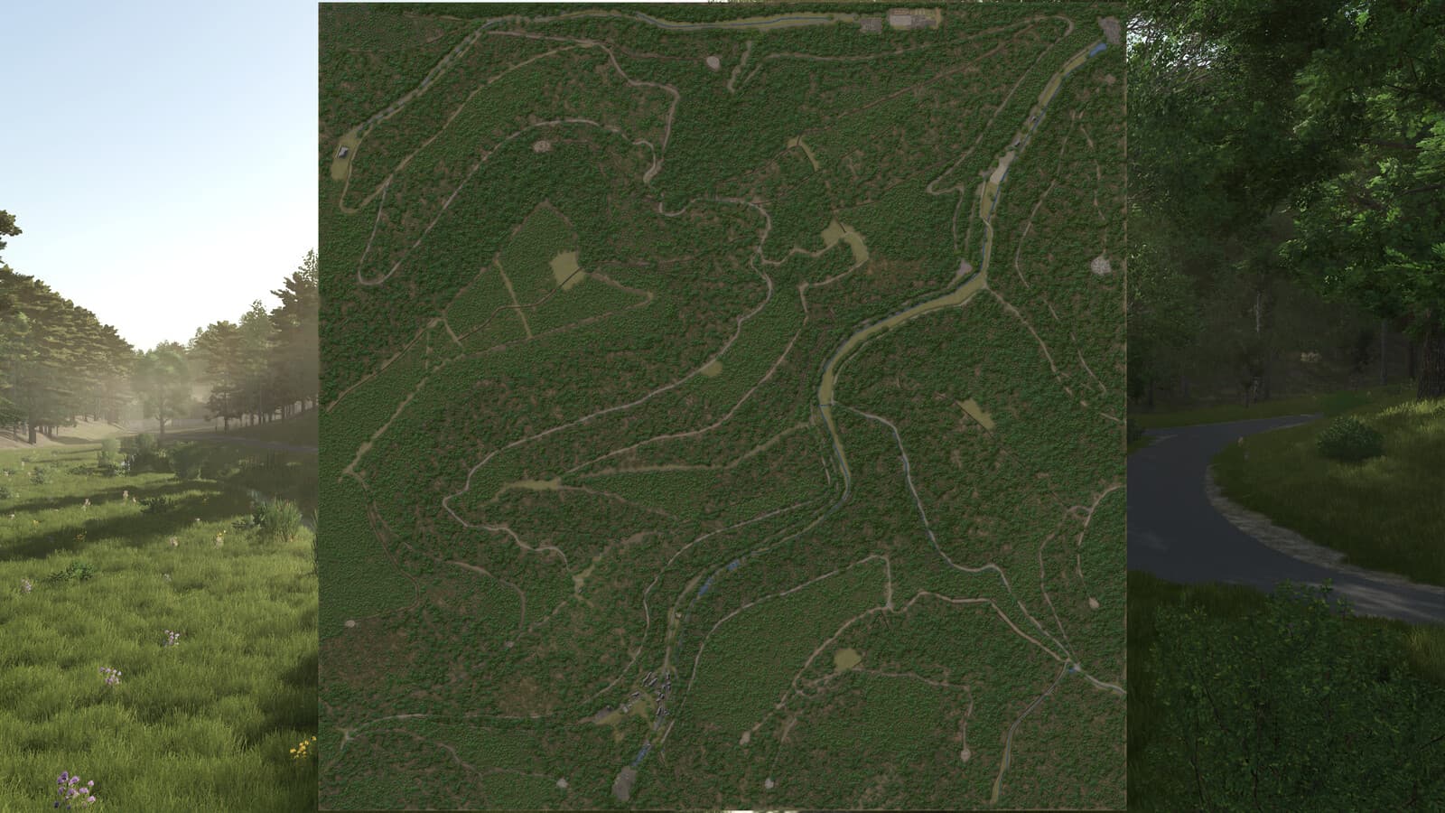 Palatinate Forest 6