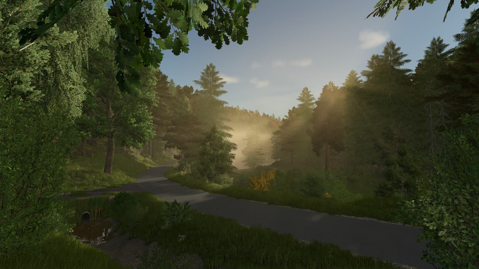 Palatinate Forest 3
