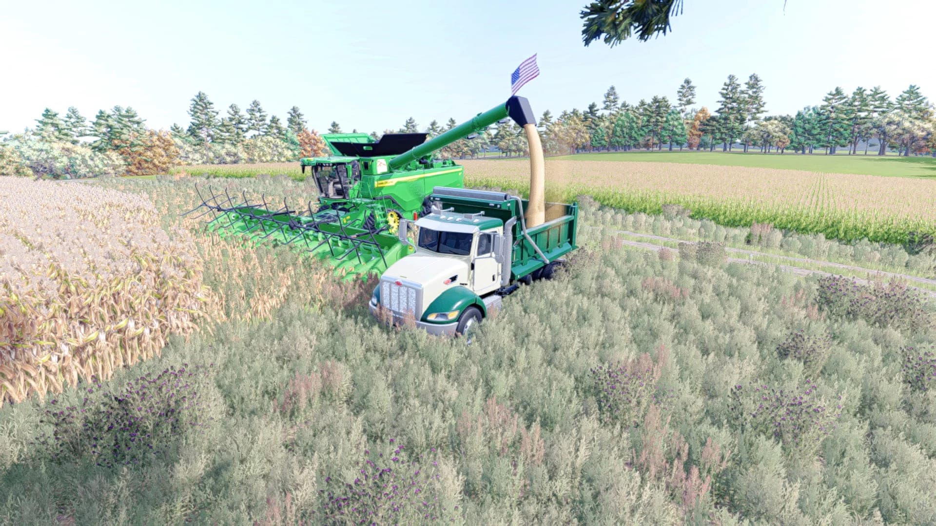 Peterbilt DOH 340 DUMP v1.0 3