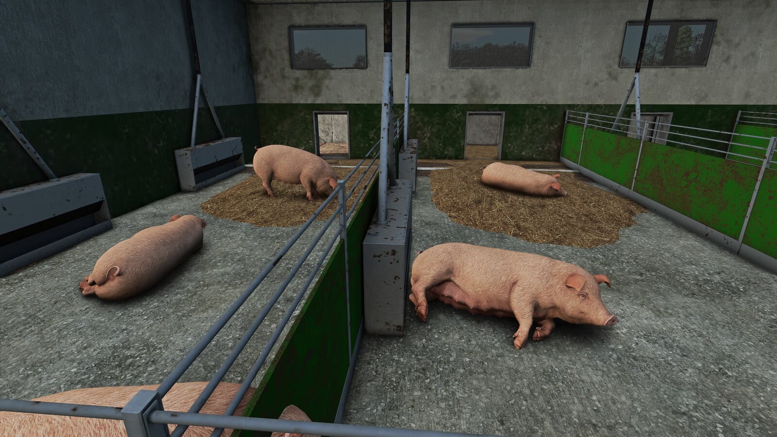 Pig Fattening 3