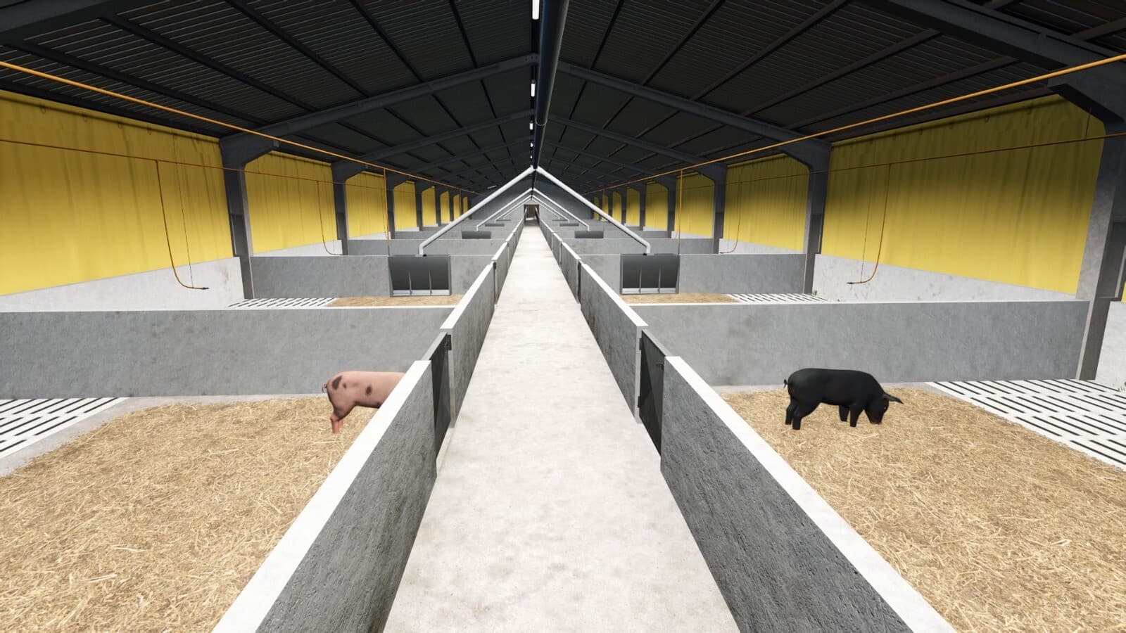 Pigsty And Manure Heap 2