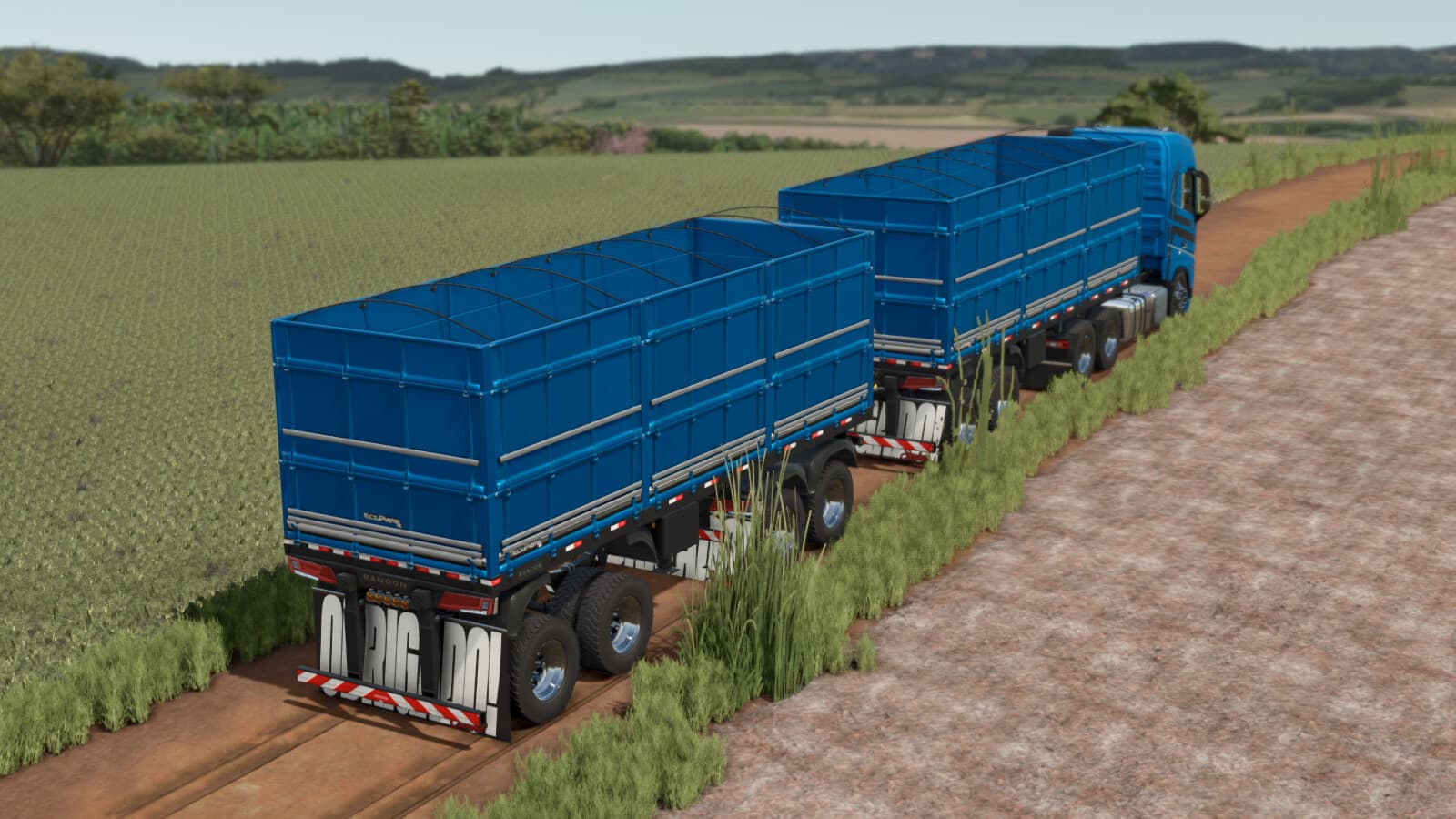Randon Short Bulk Road Train 2