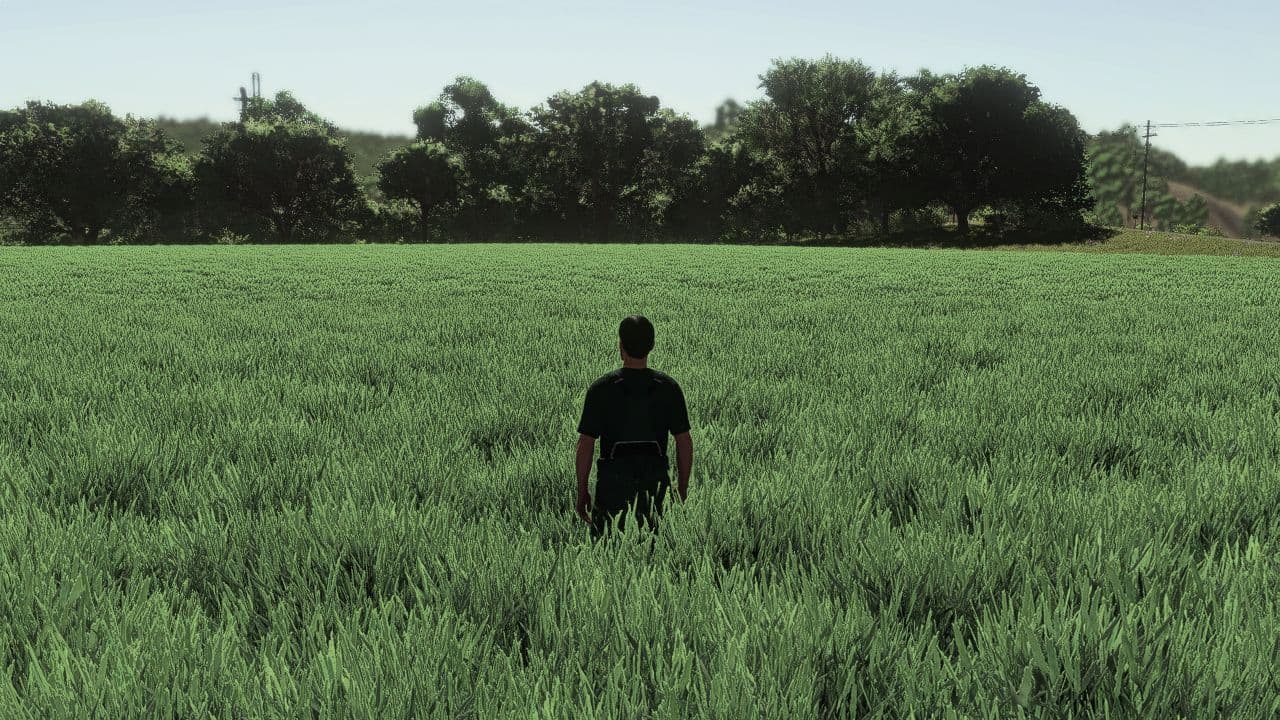 Realistic Wheat & Barley - Europe Growth Cycle 4