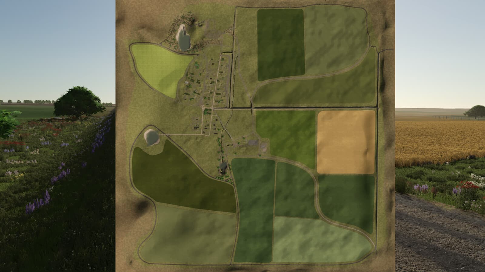 RedField 5