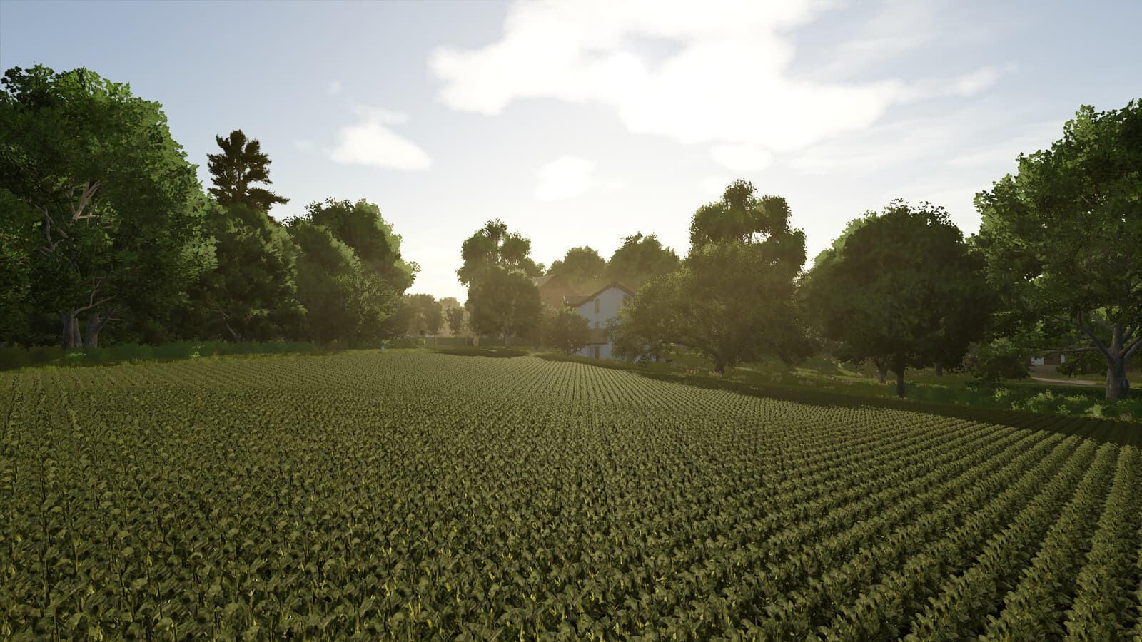 Schwaadeheim 4