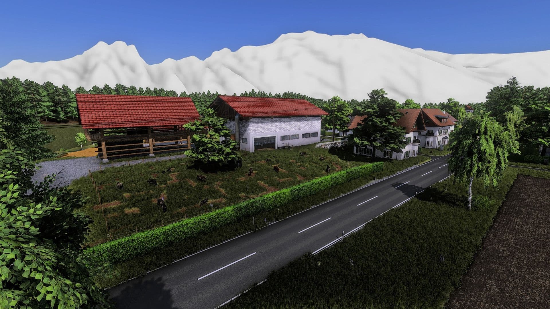 Slovenian Cow barn 4