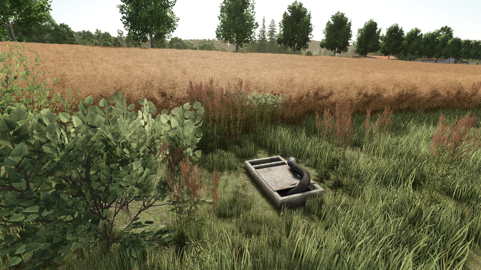 Slurry Fieldedge Storage 2