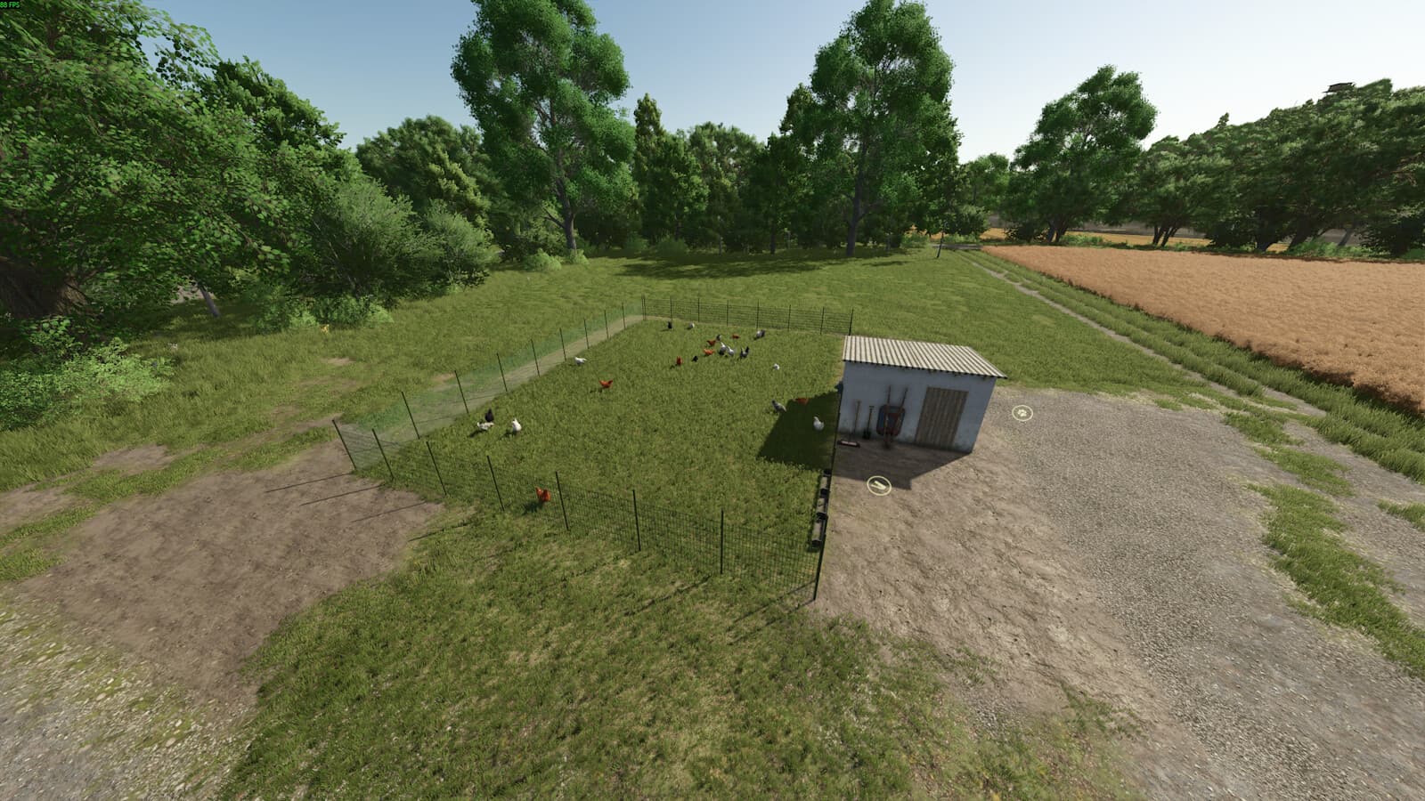 Small Chicken Coop 3