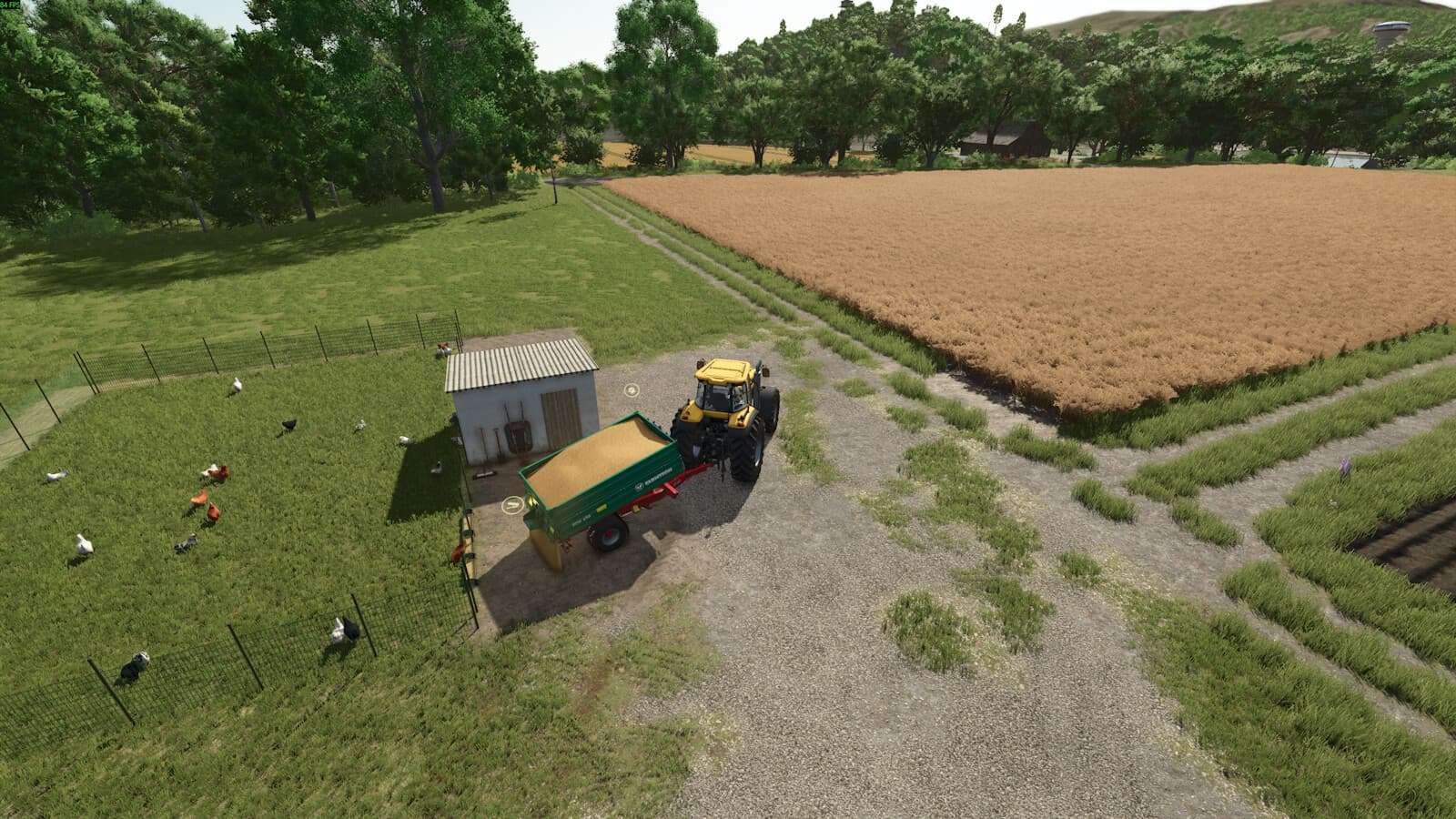 Small Chicken Coop 2