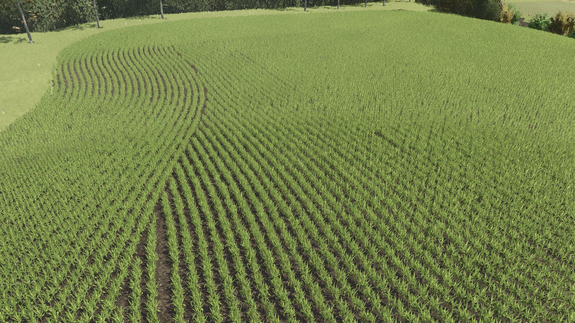 SuedBrazil 4x – Row Crop System 6