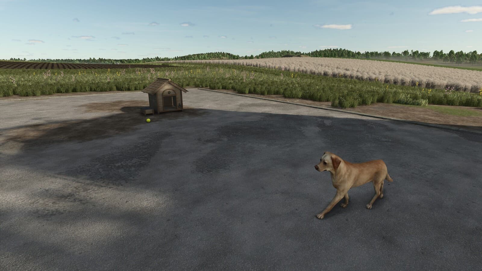 Who Let The Dogs Out 3