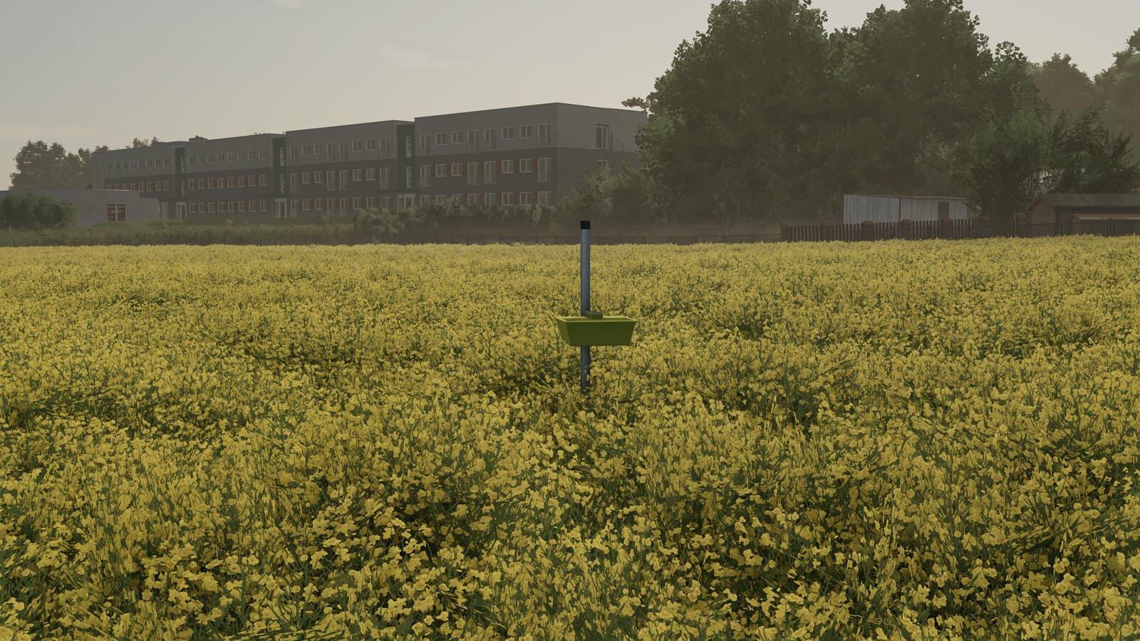 Yellow Tray 3