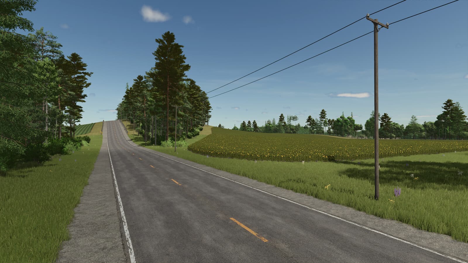 Back Roads County 2