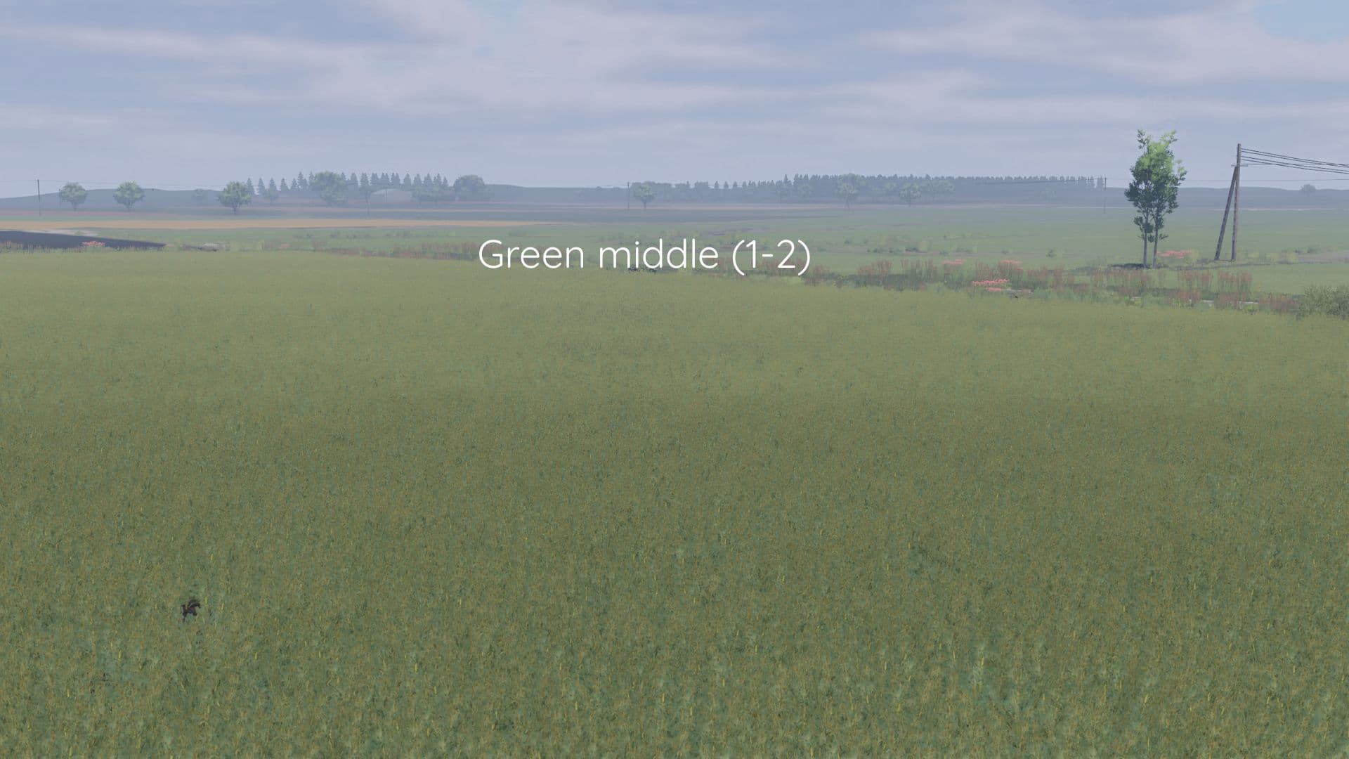 Better canola texture 5