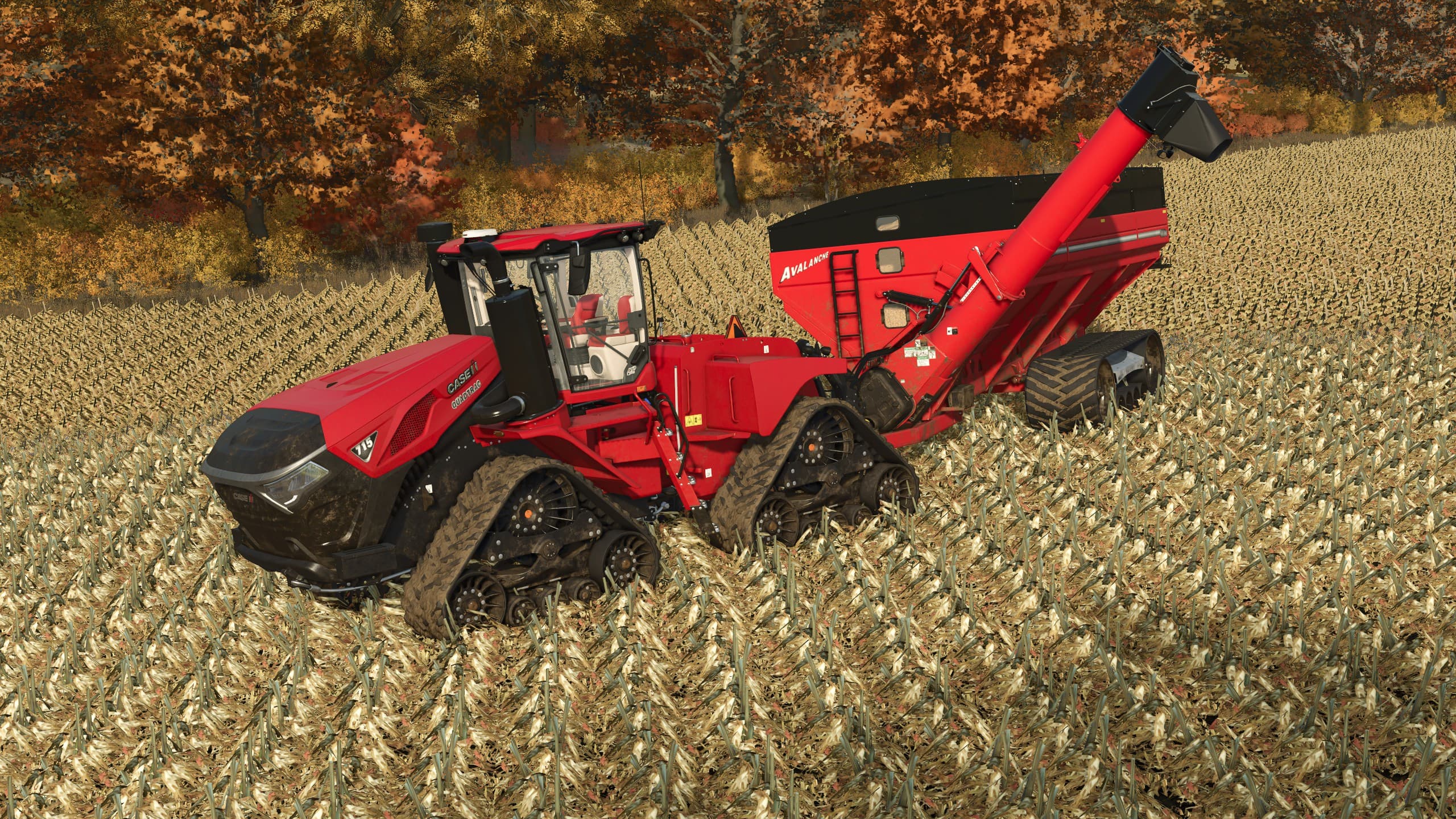 Brent Avalanche 1596 5