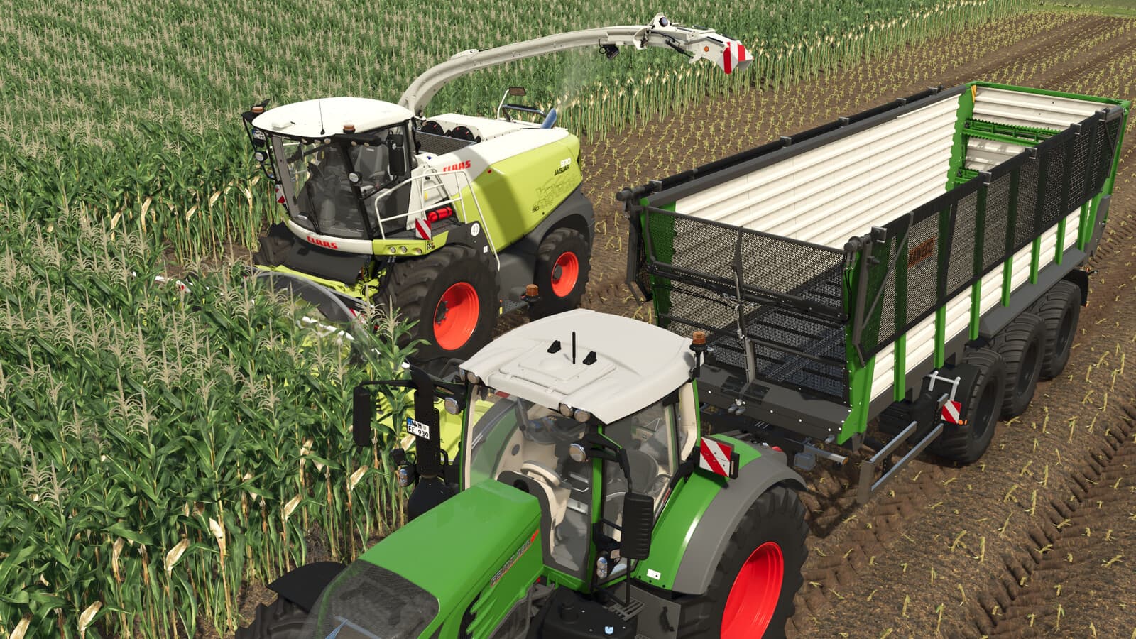 CLAAS JAGUAR 900 2