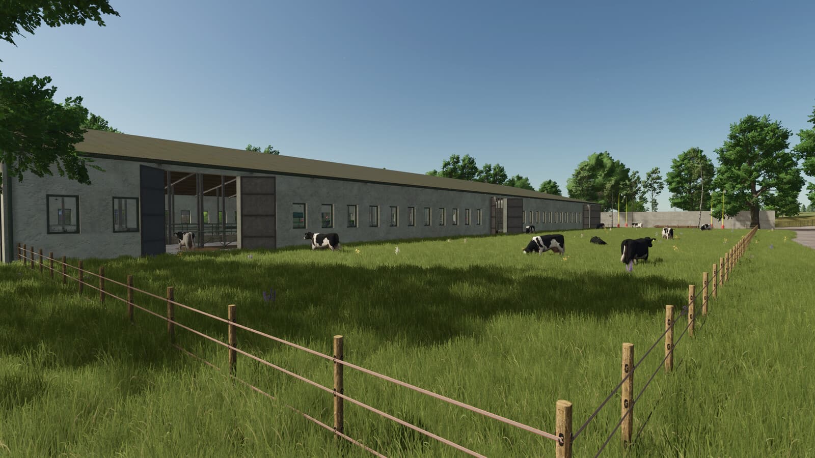 Cow Barn Big 4