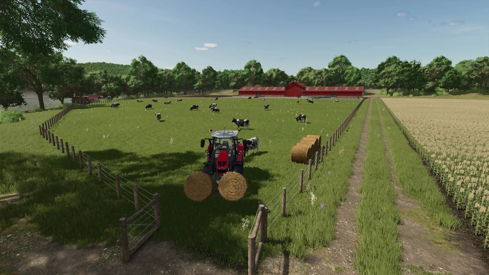 Cow Barn XL 2