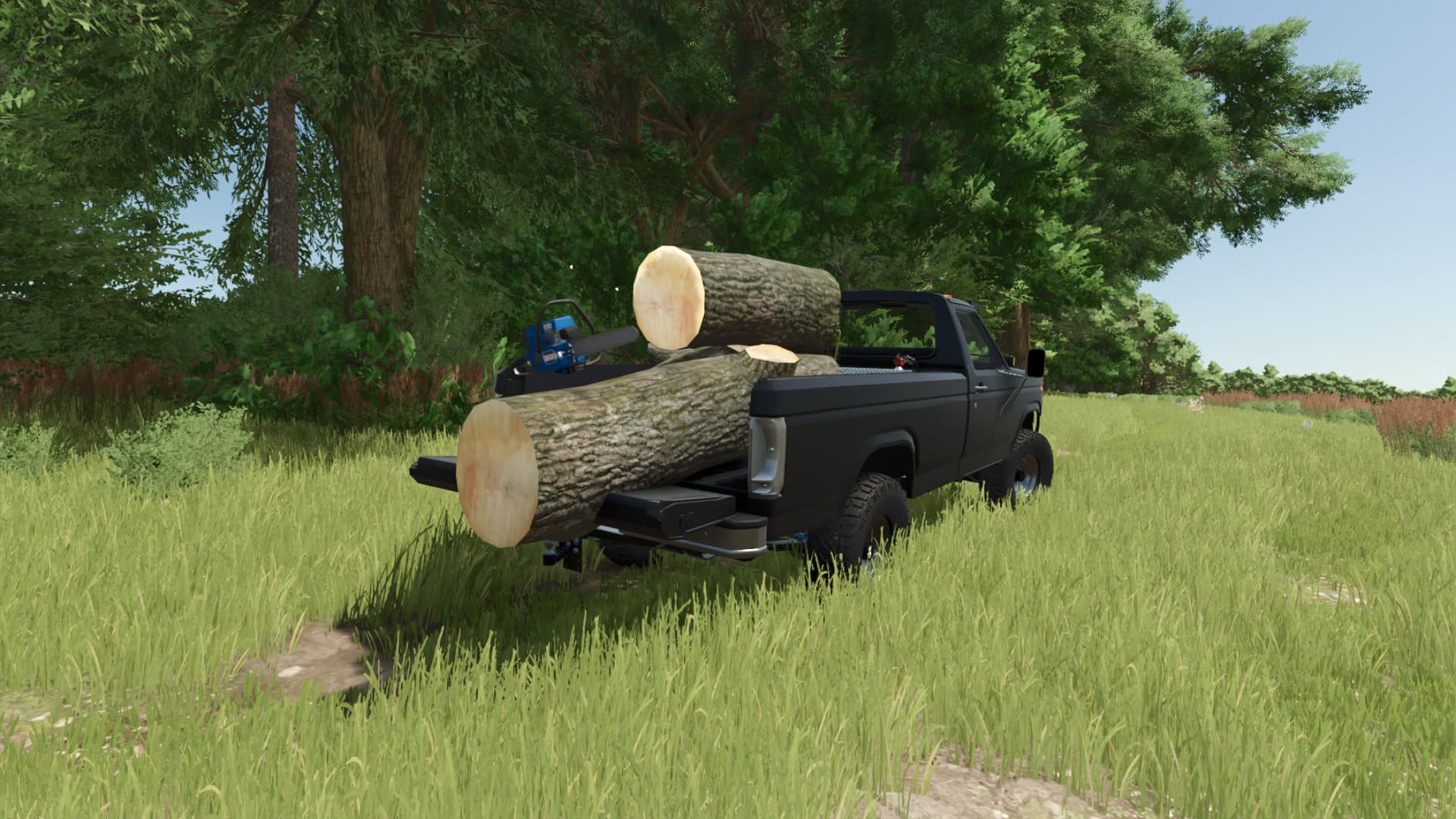 Ford Eagle Chainsaw 2