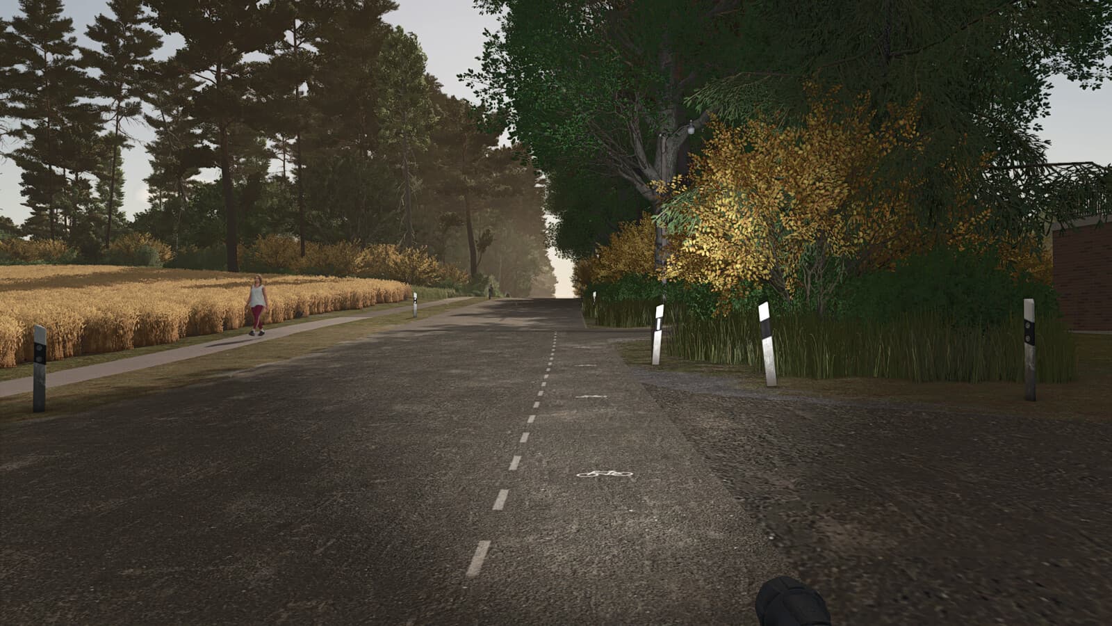 German Road Poles (Prefab*) 6