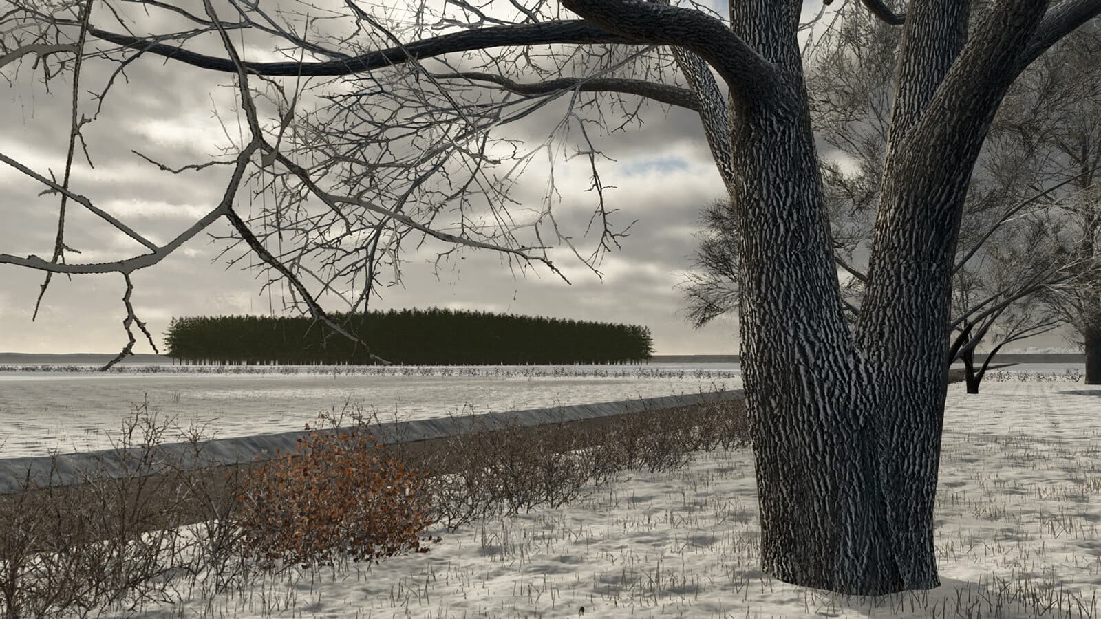 Golden Lands 4