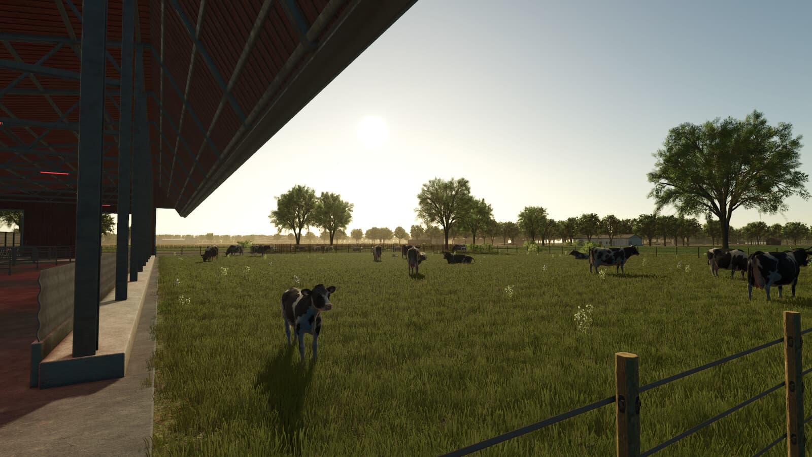 Great Grandfathers Farm 5