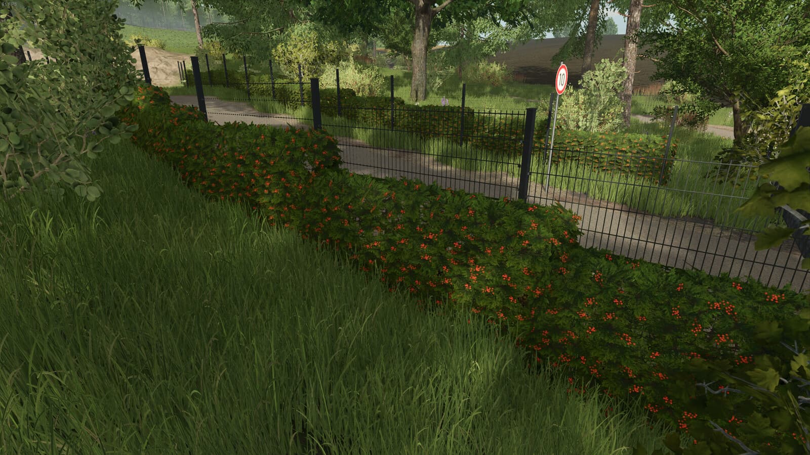 Hedges Pack
