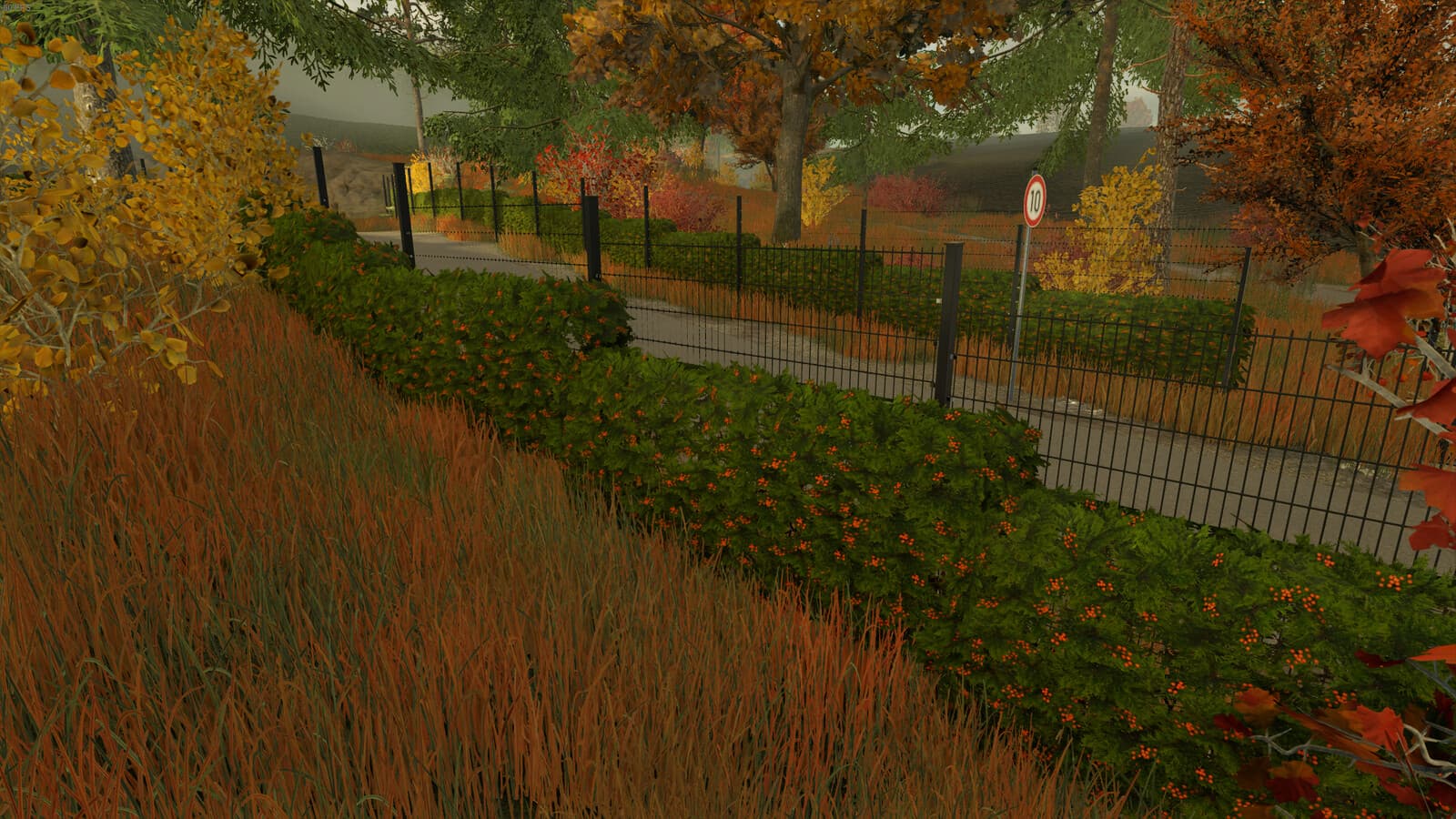 Hedges Pack 4