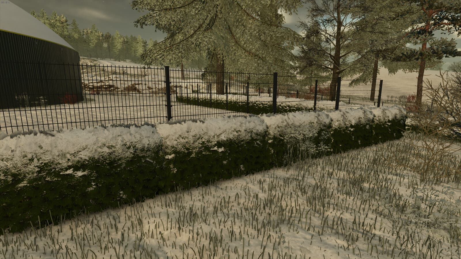 Hedges Pack 3